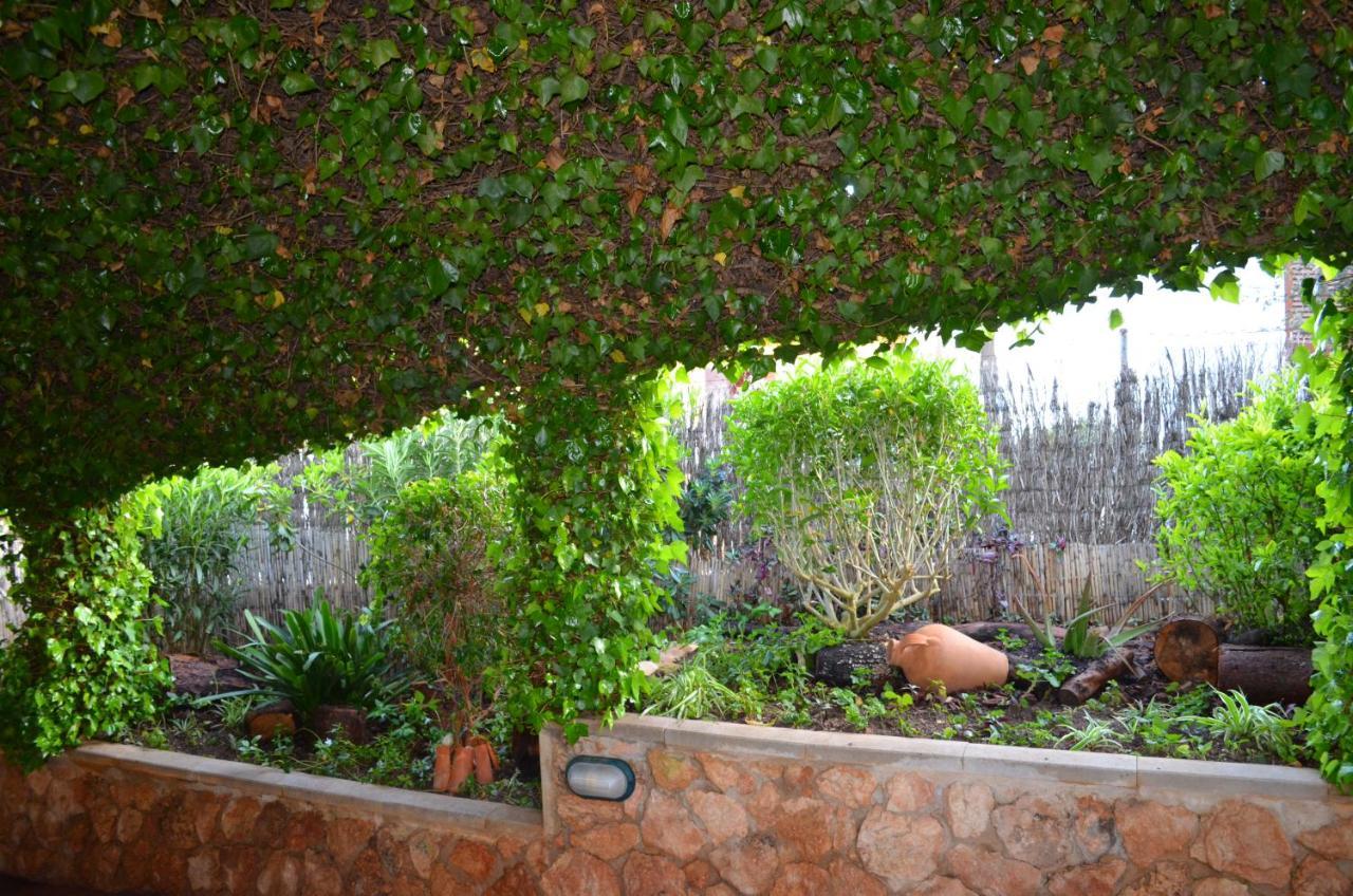 Semesterbostad Casa Piedra Mallorca El Toro (Mallorca)